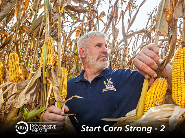 World-record corn yields are born at emergence. Uneven emergence can reduce the yield on late-emerging plants by nearly 25%, according to Randy Dowdy. (DTN/Progressive Farmer photo by Mark Wallheiser)